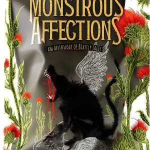 Candlewick Press Illustrated Teen Short Story eBook - 480 Page Fantasy-0